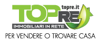 TopRe logo